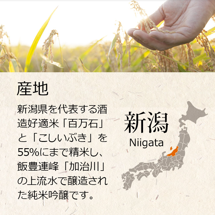 新潟県を代表する酒造好適米「百万石」と「こしいぶき」を55％にまで精米し、飯豊連峰「加治川」の上流水で醸造された純米吟醸です。